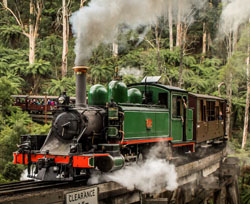 Puffing Billy Tour Service